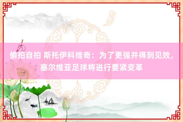 偷拍自拍 斯托伊科维奇：为了更强并得到见效，塞尔维亚足球将进行要紧变革