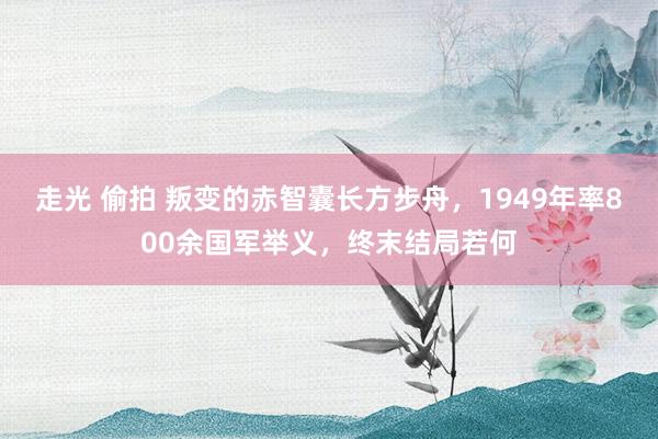 走光 偷拍 叛变的赤智囊长方步舟，1949年率800余国军举义，终末结局若何