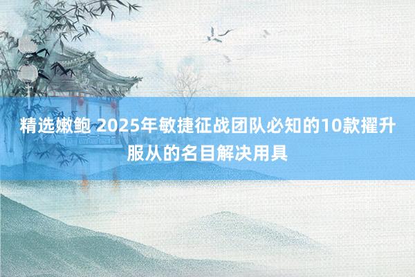 精选嫩鲍 2025年敏捷征战团队必知的10款擢升服从的名目解决用具