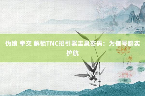 伪娘 拳交 解锁TNC招引器圭臬密码：为信号踏实护航