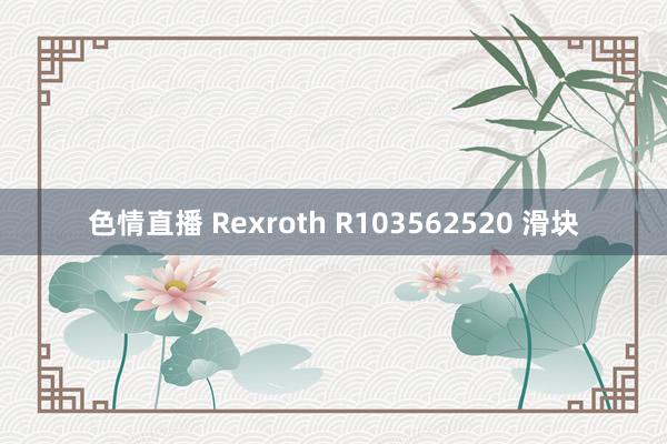 色情直播 Rexroth R103562520 滑块