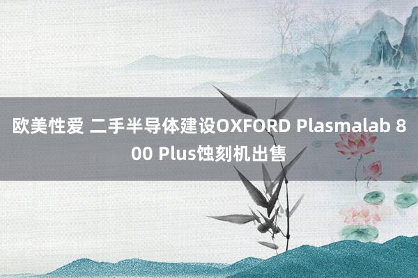 欧美性爱 二手半导体建设OXFORD Plasmalab 800 Plus蚀刻机出售