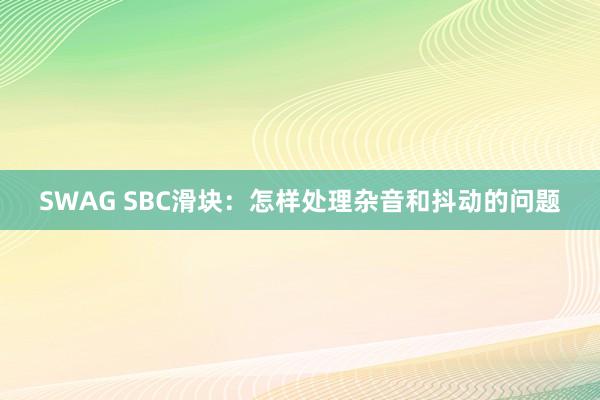 SWAG SBC滑块：怎样处理杂音和抖动的问题