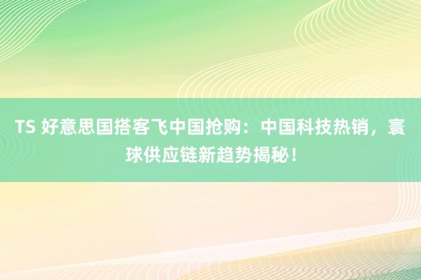 TS 好意思国搭客飞中国抢购：中国科技热销，寰球供应链新趋势揭秘！