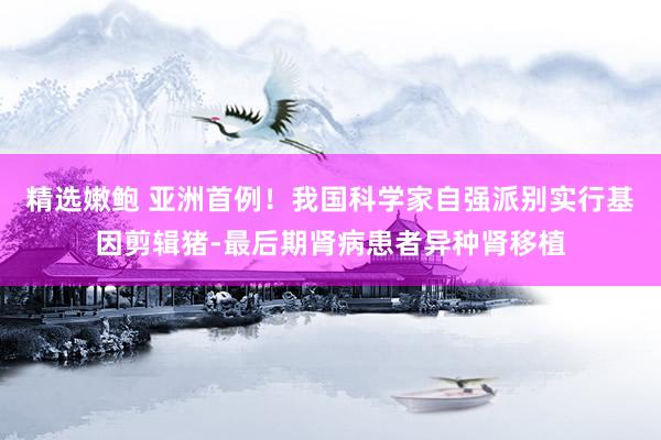 精选嫩鲍 亚洲首例！我国科学家自强派别实行基因剪辑猪-最后期肾病患者异种肾移植