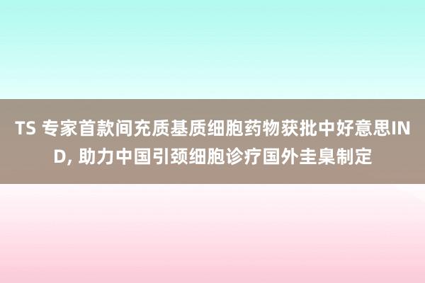TS 专家首款间充质基质细胞药物获批中好意思IND, 助力中国引颈细胞诊疗国外圭臬制定