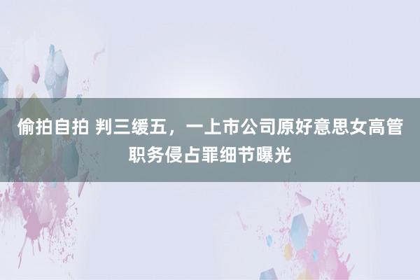 偷拍自拍 判三缓五，一上市公司原好意思女高管职务侵占罪细节曝光