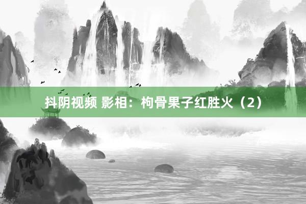 抖阴视频 影相：枸骨果子红胜火（2）