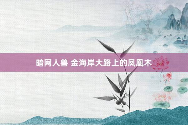 暗网人兽 金海岸大路上的凤凰木