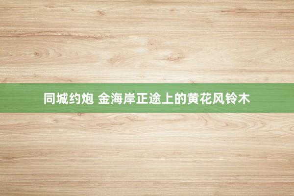 同城约炮 金海岸正途上的黄花风铃木