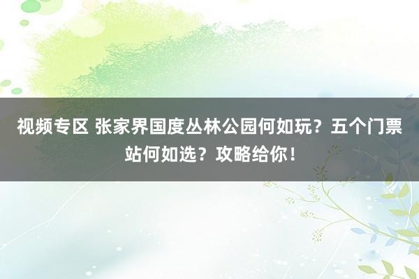 视频专区 张家界国度丛林公园何如玩？五个门票站何如选？攻略给你！
