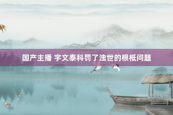 国产主播 宇文泰科罚了浊世的根柢问题