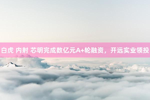 白虎 内射 芯明完成数亿元A+轮融资，开远实业领投